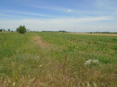 Mihailesti, Giurgiu