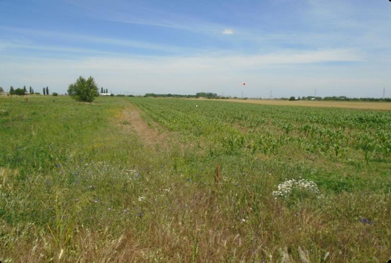 Mihailesti, Giurgiu.