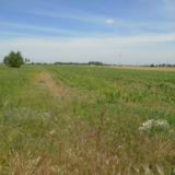 Mihailesti, Giurgiu
